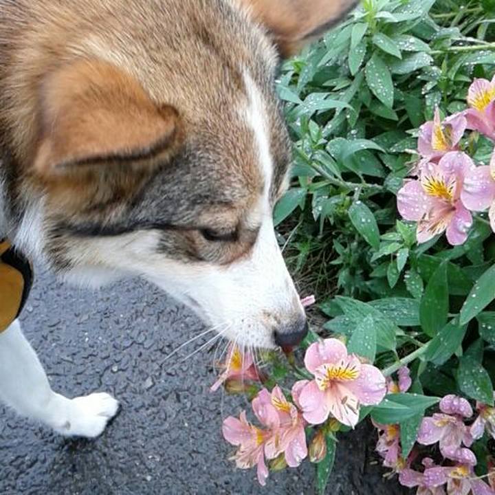 88eb4606 96c8 445d 916d 04a183adcf42