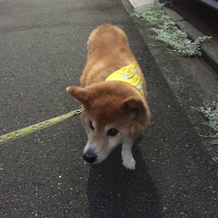 88ebcf2a 1949 4d0c a959 3b99e2d453b3