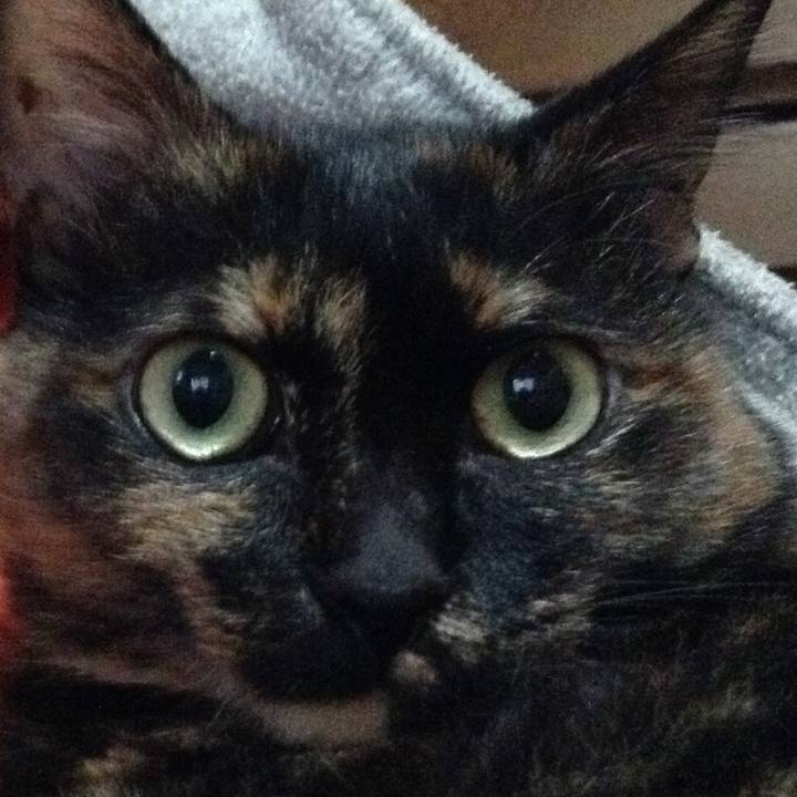 88ec3c84 e86f 4937 9076 204d1e8c4e0b