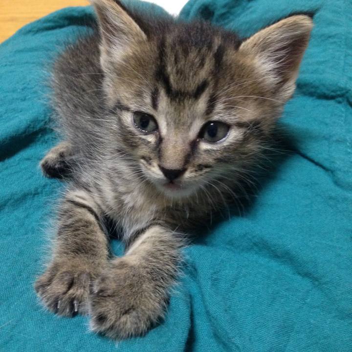 88ee0fd6 23f8 4864 9918 bd65df313c1f