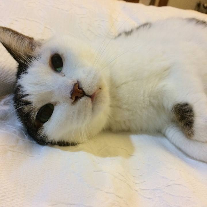 88eed9fd be4c 42c6 aef9 2ddb0cec8c98