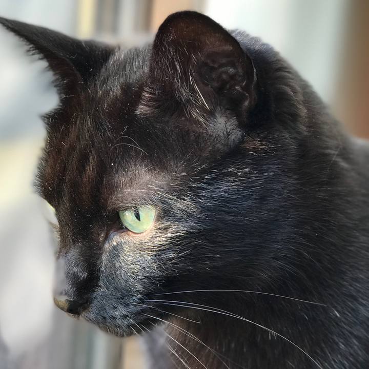 88eeee08 3b02 4d62 91d6 7b3ffbcb23fa