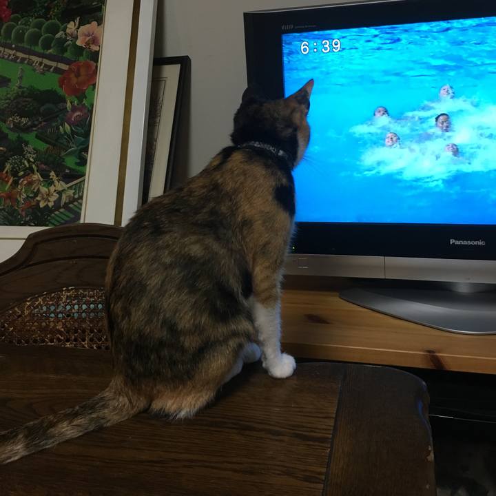 88eef918 4e13 43fe ac0b 434a4bd37733