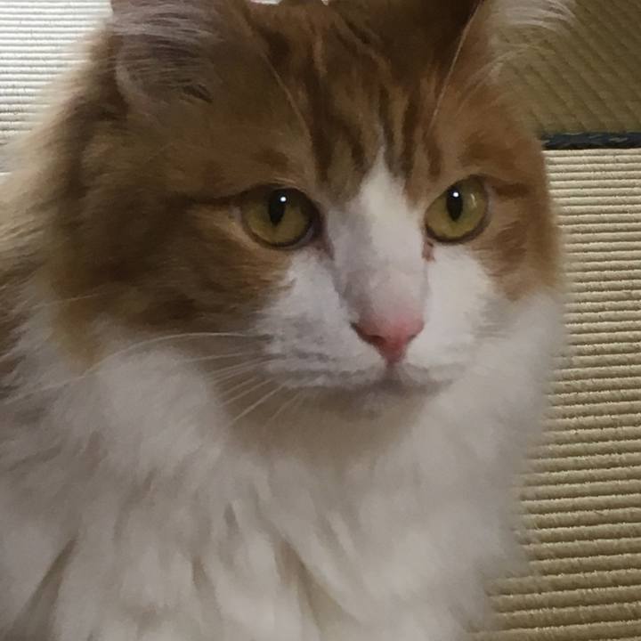 88ef5c7b ae1d 4d3f 9c1b 160ddd8ed08c