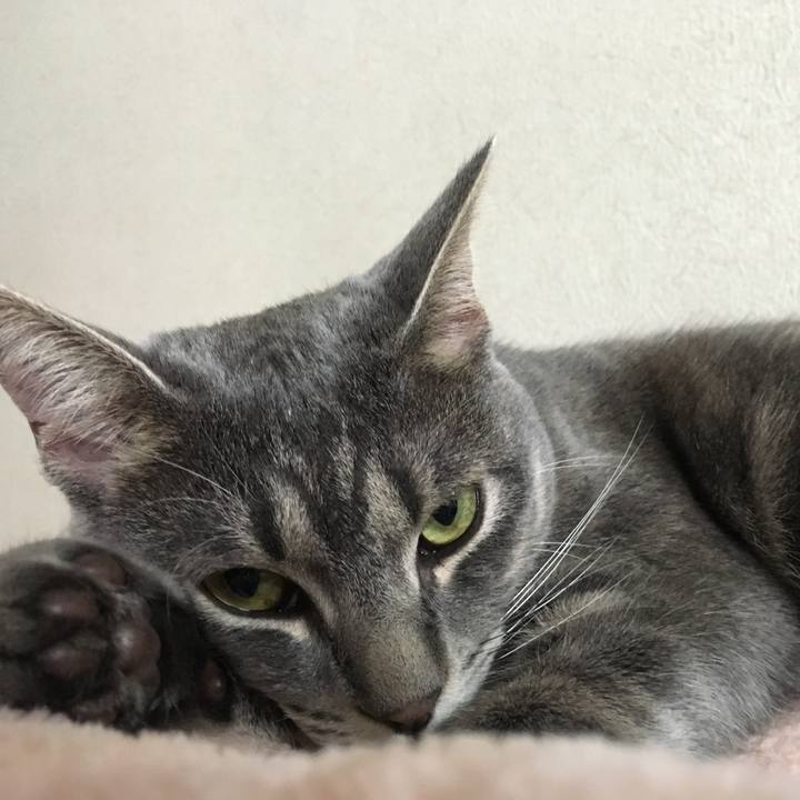 88f08e57 da16 4714 adff 54ced901669d