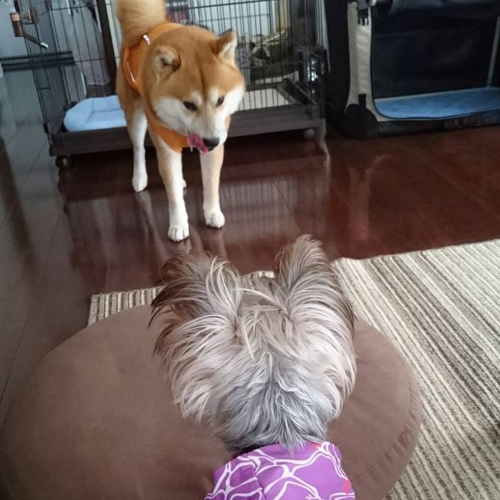 88f0d469 83b7 4760 b00b 7adc71d9f51a