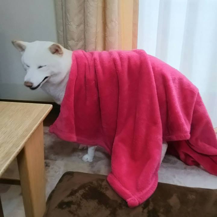 88f0f5b9 6f83 48f9 984e 10cb503c7919