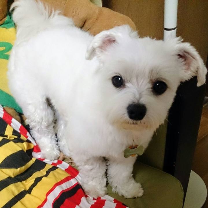 88f10703 f4ee 48b5 9c9e e89dbd191e41