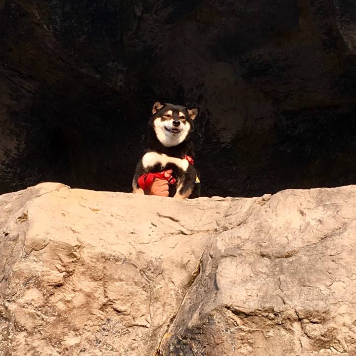 88f1512f cd3d 4edb bfb2 97934cf65341