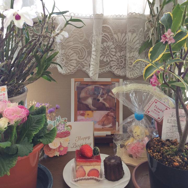 88f162e2 7b70 4b59 bfde 8995adde64d5