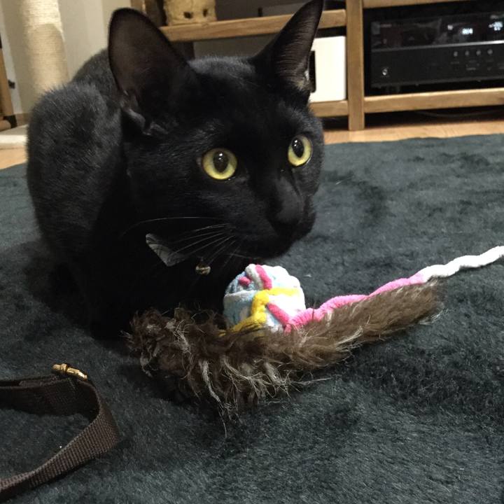 88f16d3c c8b7 4f1d b1f5 2edba6209f31