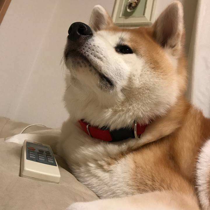 88f1a9be 0a9c 4ec5 b811 fd6eb4e0e932