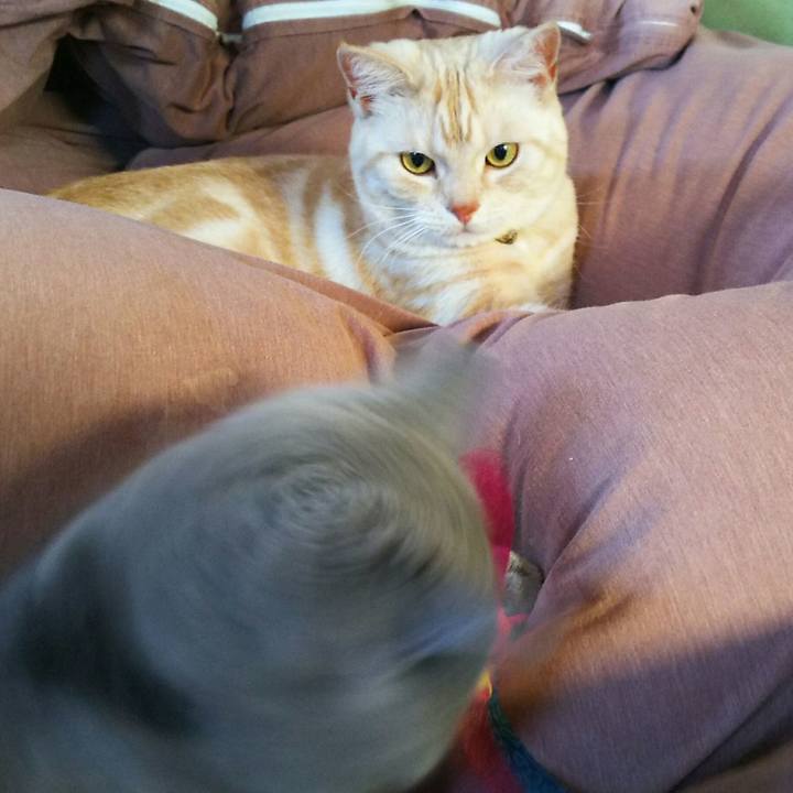 88f1bd0e b600 433e a13f 754127a033c7