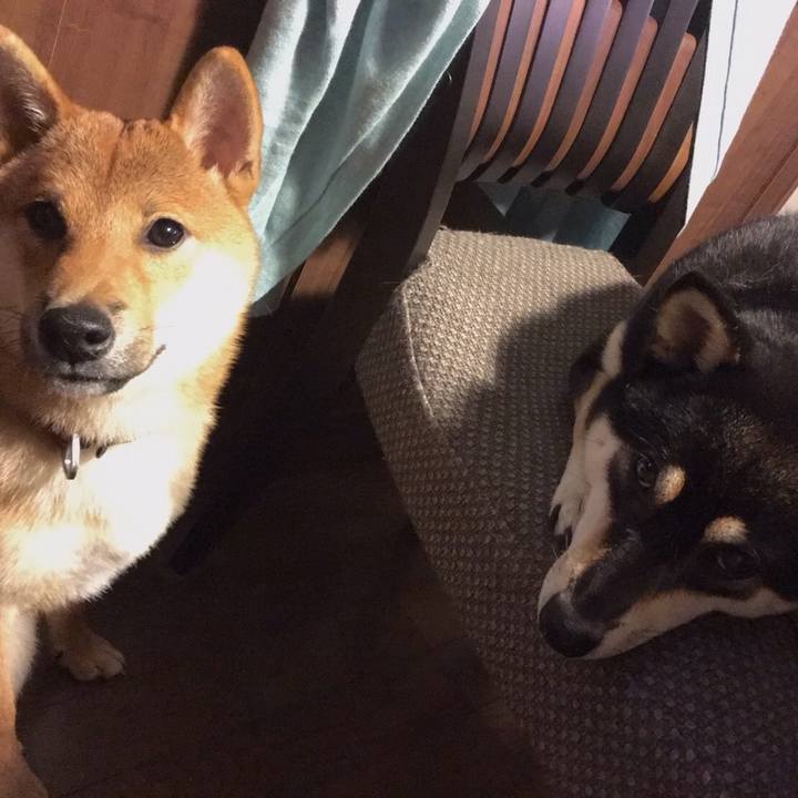 88f1c426 a905 44e3 8cc6 accf54ad70e9