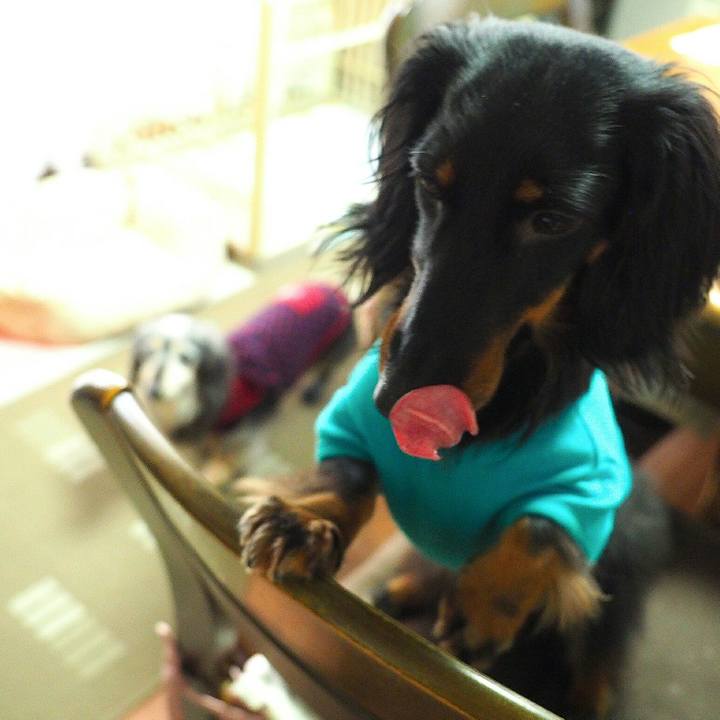 88f1ec81 a806 4adf 970d af5753b9c3f9