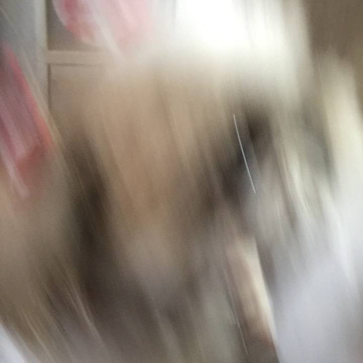 88f2e3ed 7036 4cf8 a2e3 fb5b1e352868