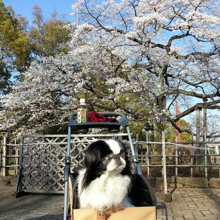 88f2f917 510d 4c3c b341 d56eb7e7789a