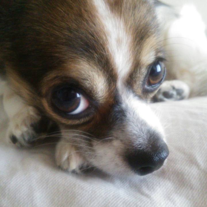 88f35413 5a50 4d96 8d54 6366df43099f