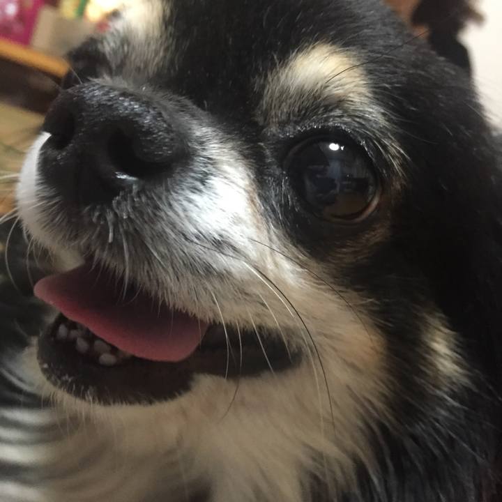 88f3e43b 1547 4494 a101 8a6979156e8b