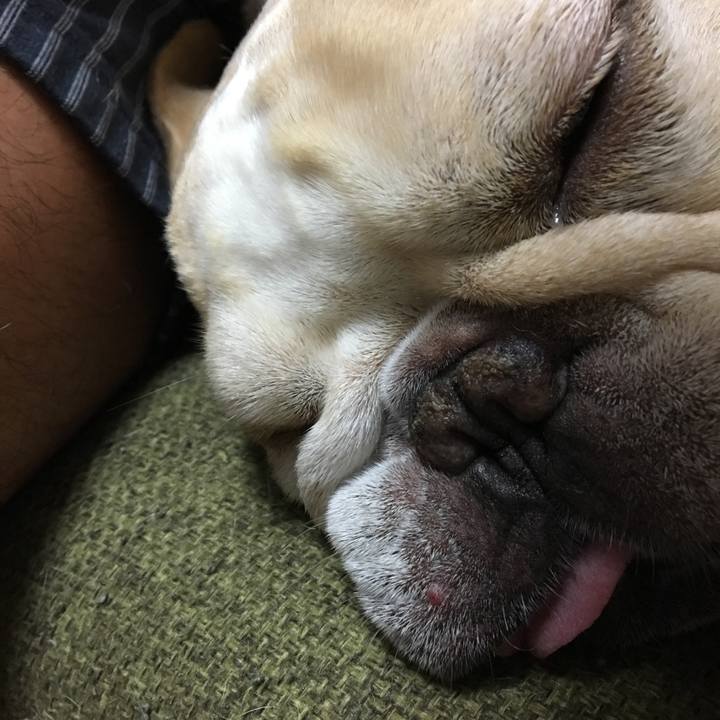 88f469df e939 4426 8556 06d748948d12