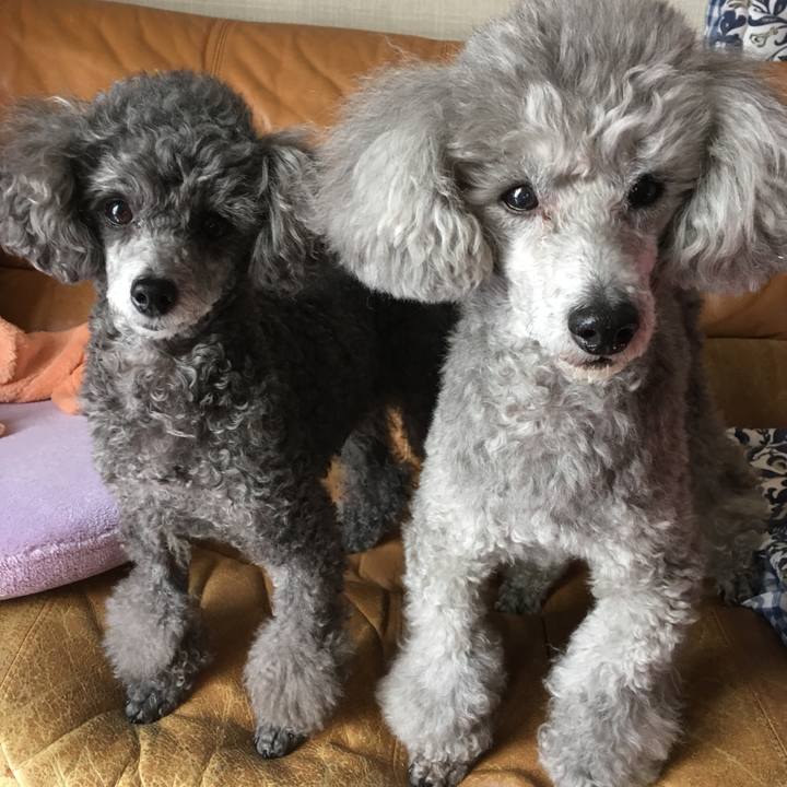 88f4b3e2 3b8e 4e87 9eee 5b9a7cee54d4