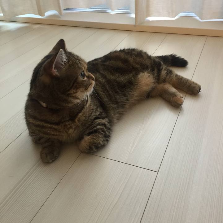 88f4e958 2627 416e be52 bd439d73f76b