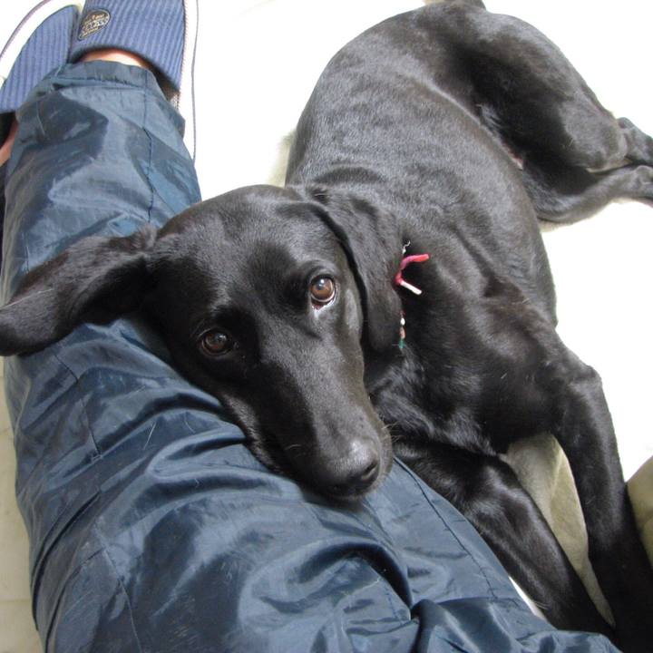 88f5ad32 cf82 49de 8bc5 edebc0693ac0