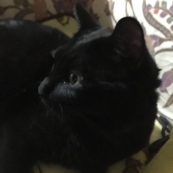 88f5c18f 7fd3 41f1 a880 bb9a4e58af39