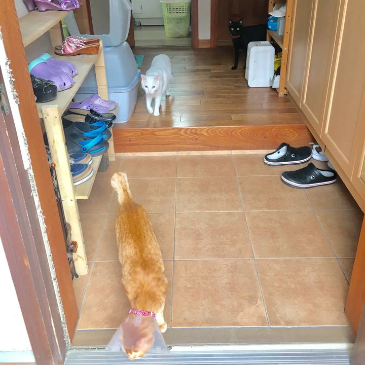 88f62d60 4348 4038 96e8 fbbaa15b4b7d