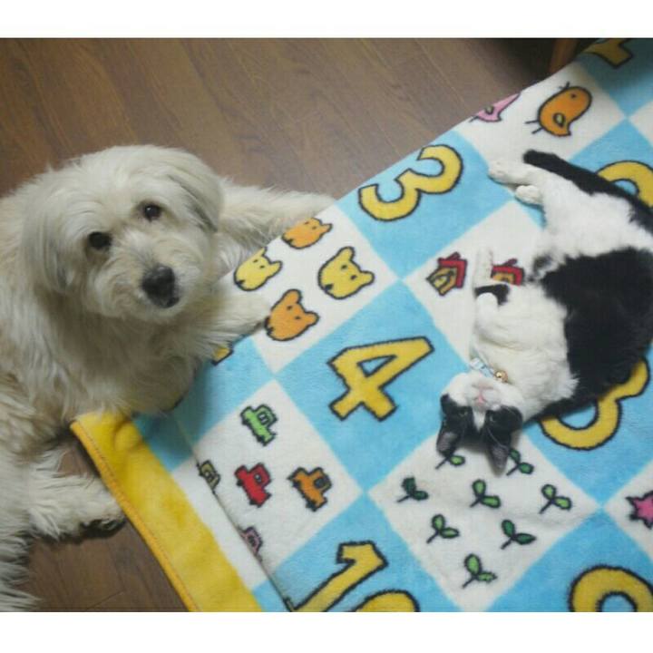 88f63ba4 b318 4f6f 9633 e05527352f8a