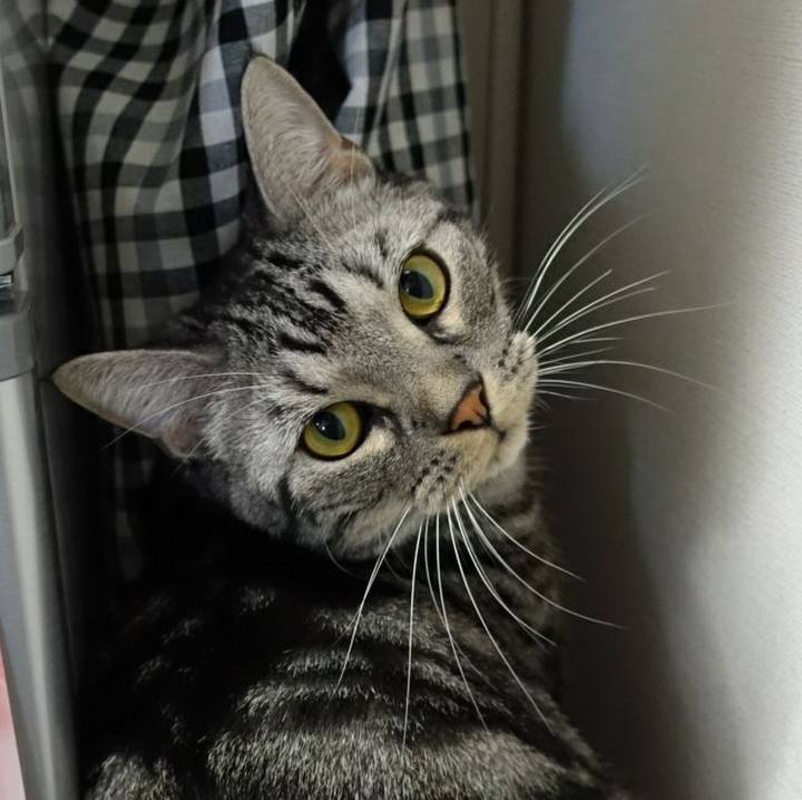 88f6a4ce c740 42e2 aa80 9f6e0f242892