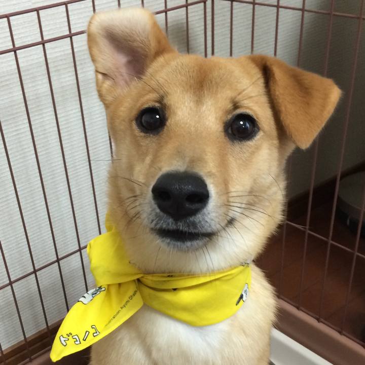 88f6c379 0ac7 4499 93d1 b7debb41bb5c