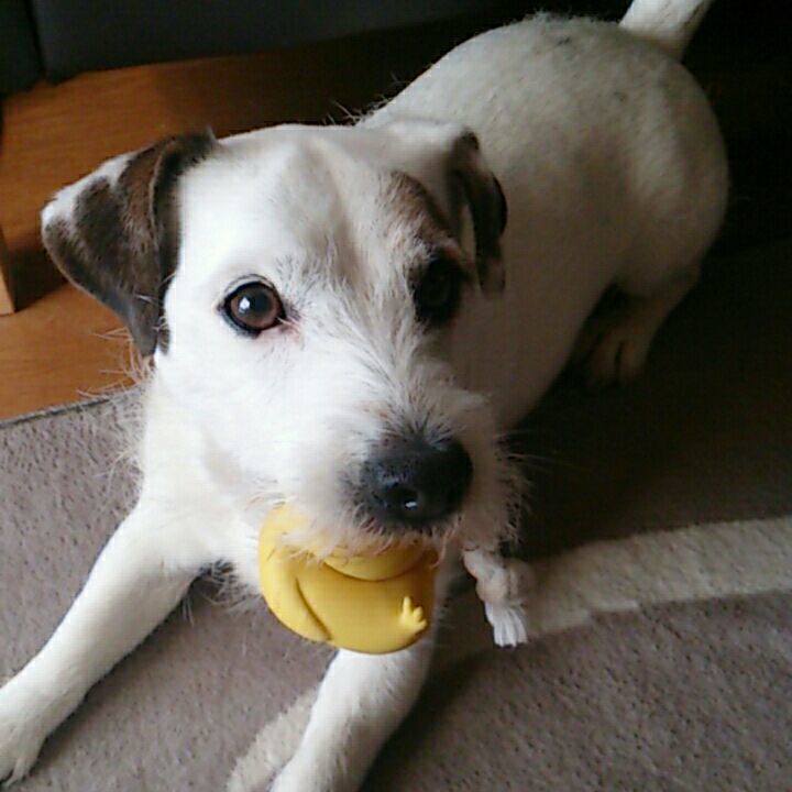 88f71c7b 861d 4540 a020 a489981f0ad7