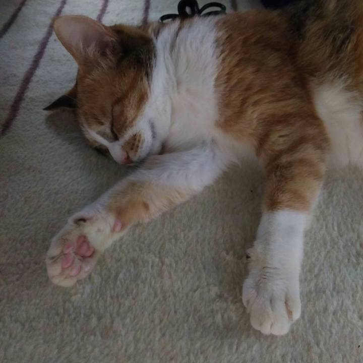 88f73b04 0143 4a96 82ca 61e388db3efd