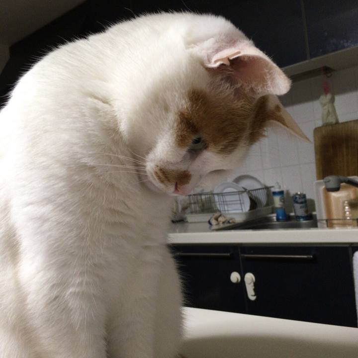 88f743c0 9c0a 424d ae00 4a181ae681c0