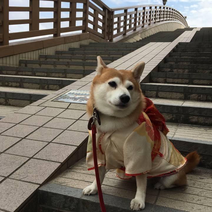 88f75c07 eabf 425e a2ba 9e3eaf97ce4b