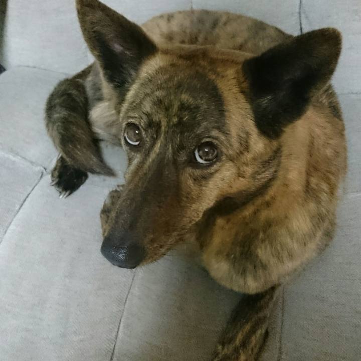 88f82b64 262e 4a87 8c9f 31f5c46b89fc