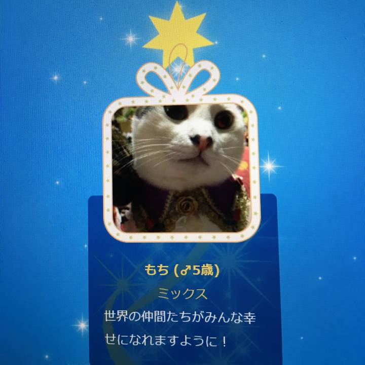 88f8b48d eb37 454f b4bd f15d03fac92e