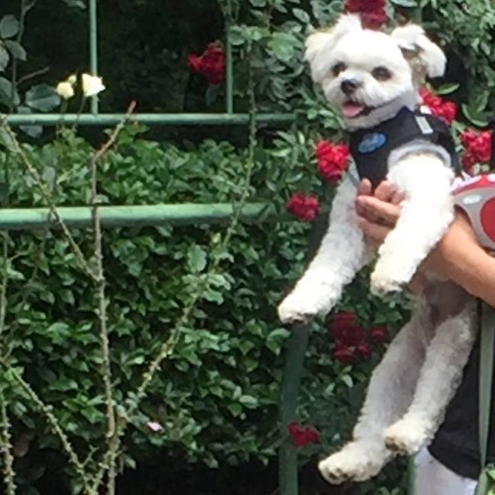 88f8ed80 5402 4bea bd39 069862b8a0bb