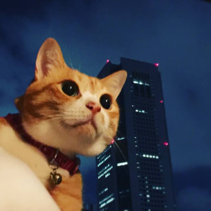 88fa196c 81d0 4aa5 818c 297989654c70