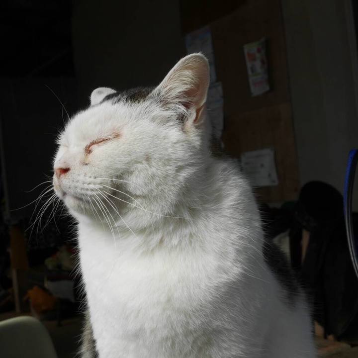 88faa39c dfb4 43e6 9b19 cc202aa3a164