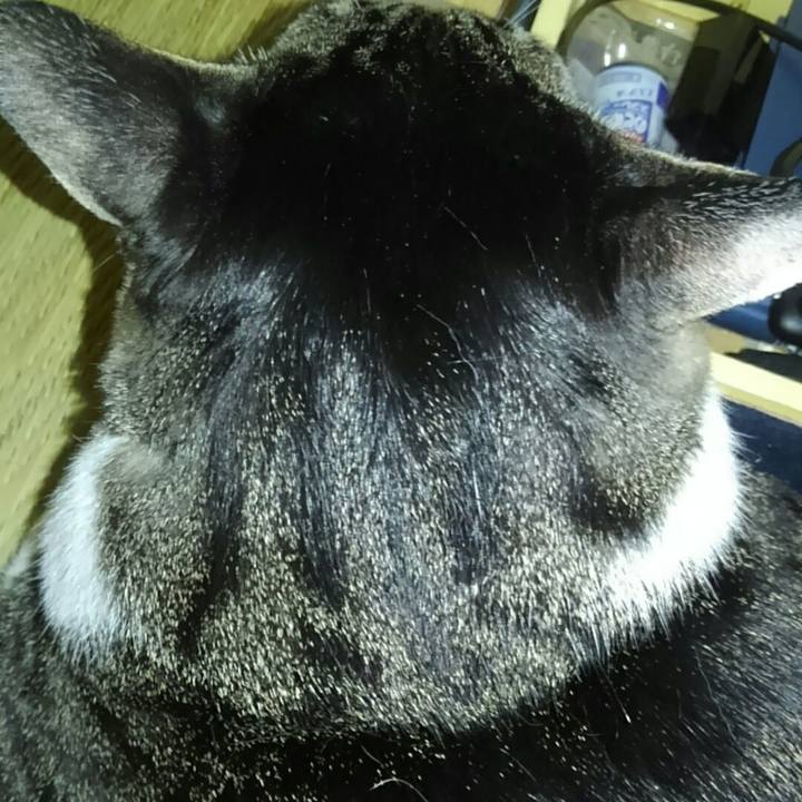 88fad429 a79f 4b20 96c0 fdbf2a975b11