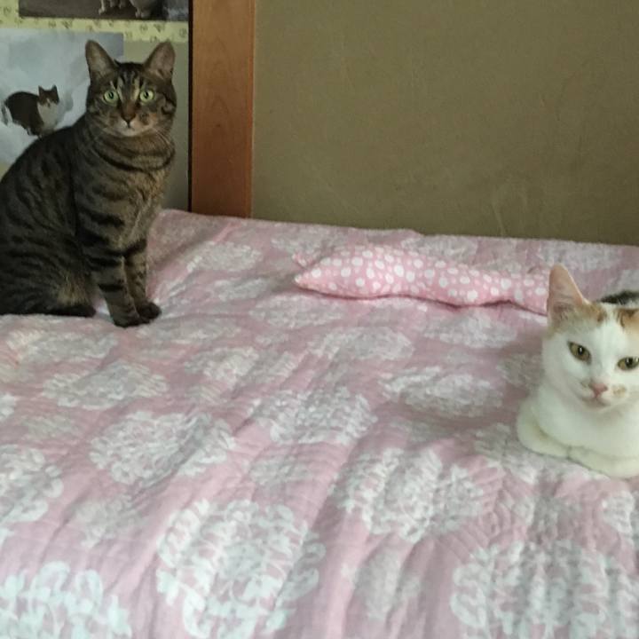 88fb4888 527e 491b b323 52e82180daac