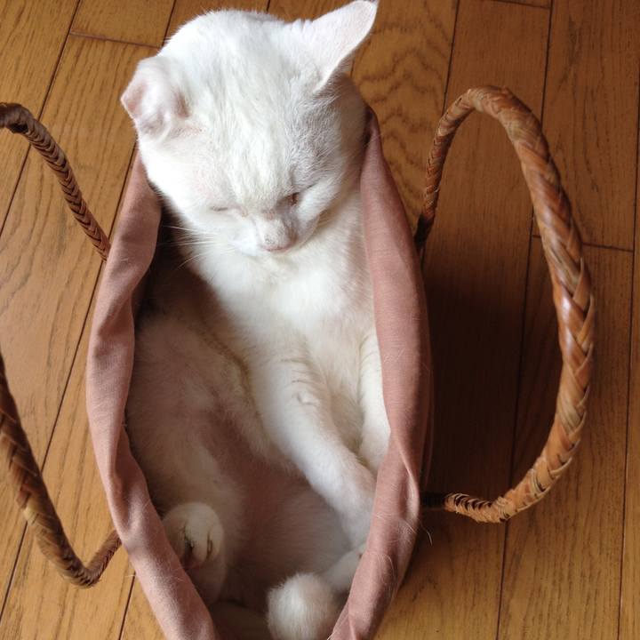 88fbceca c546 4ebb b3f3 cf9c8f79dd00