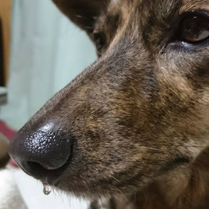 88fd77d6 ad43 4302 84b4 84ef5e97dc63