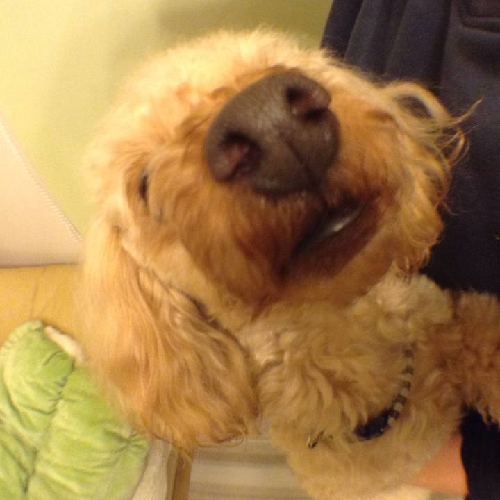 88fdba81 8681 45b0 8945 4608ee0220f4