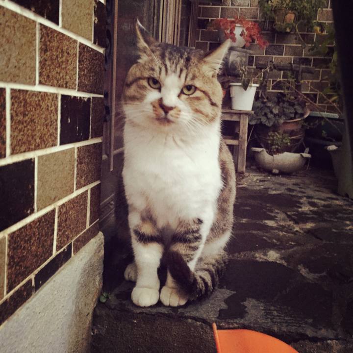 88fe0616 ff62 46e5 a29a a68a10734b73