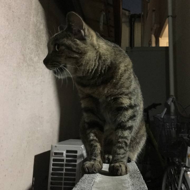 88fe0b0f d75f 4745 84dc 7078d65977a7