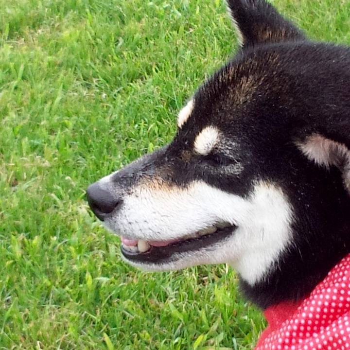 88fe2383 5d67 4c63 b64a f19c555628b5