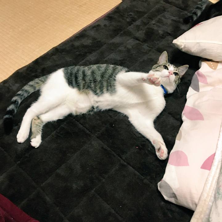 88fe3672 c15a 4d2c bda8 175afa2b416c